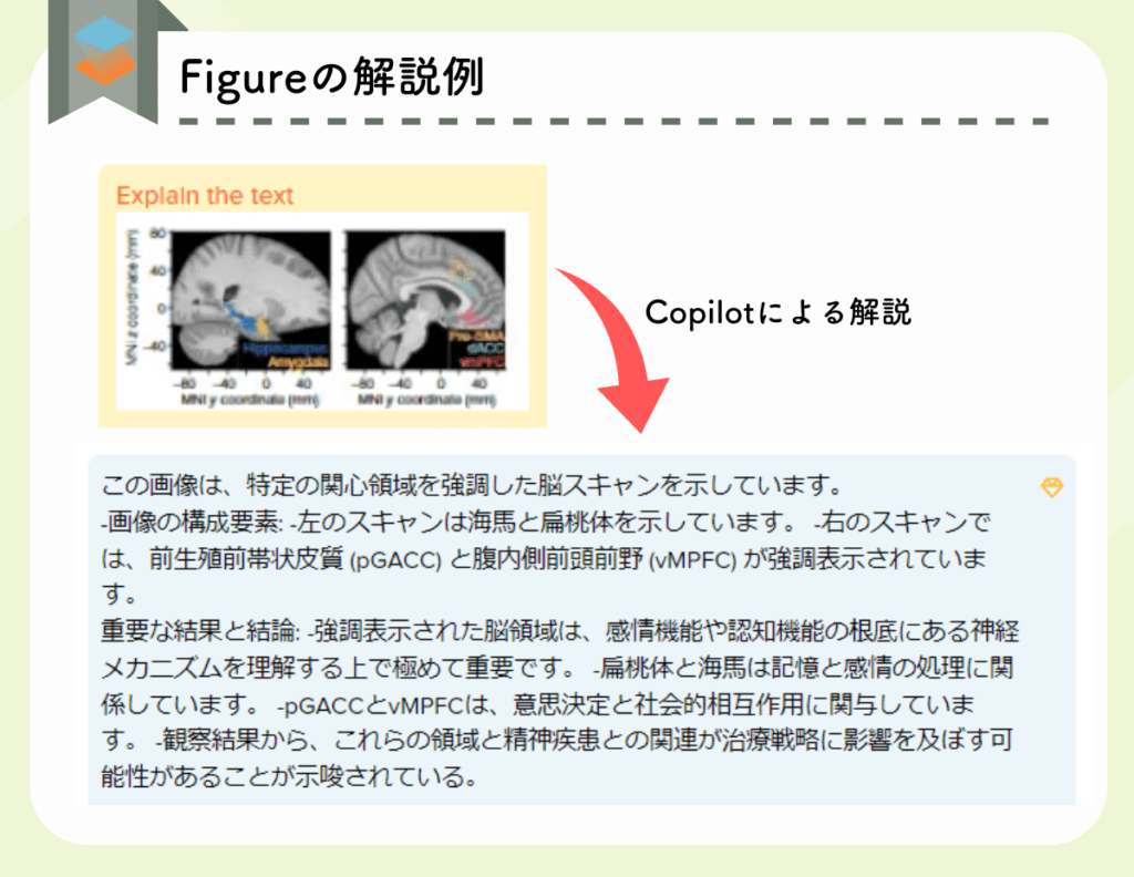 論文内の脳のMRI画像をScispace copilotが解説した例