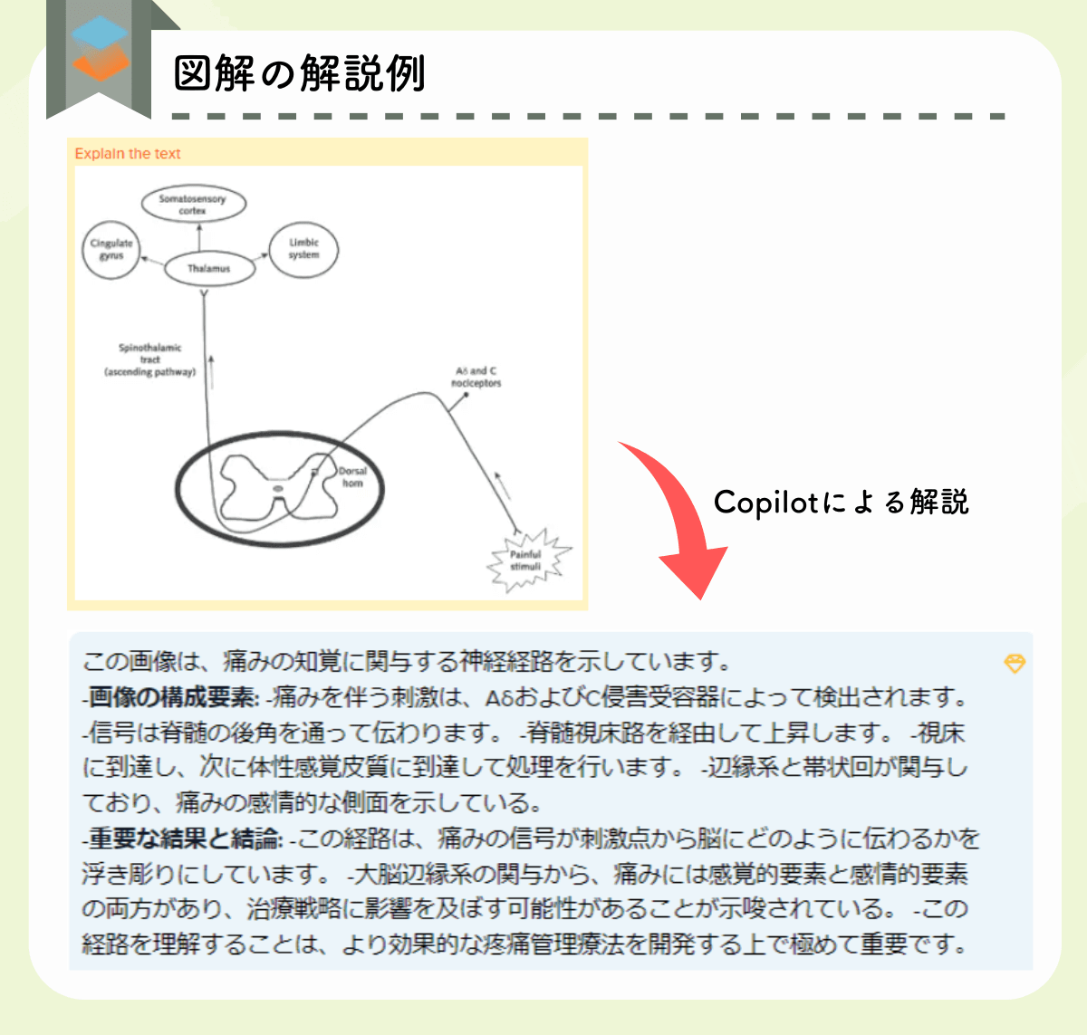 論文内の図解をScispace copilotが解説した例